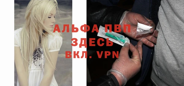 твердый Абаза