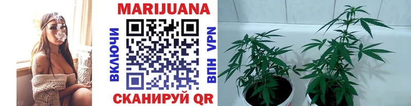 Бошки Шишки White Widow  Нестеровская 